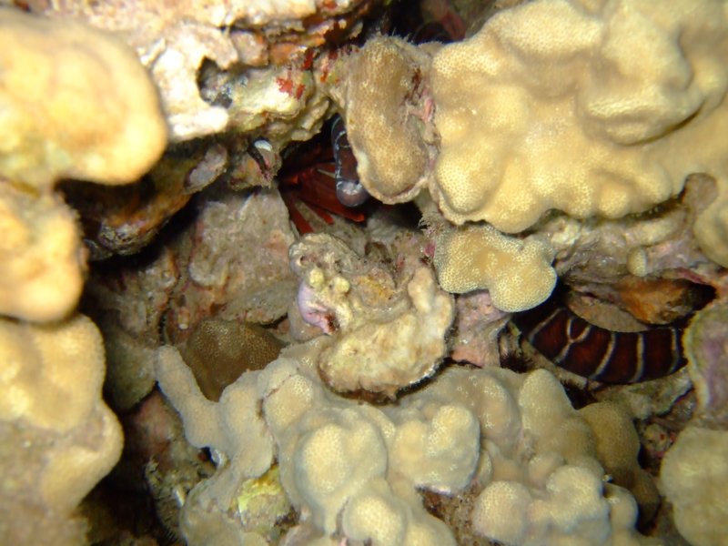 dscf6286.jpg
