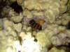 dscf6287_small.jpg