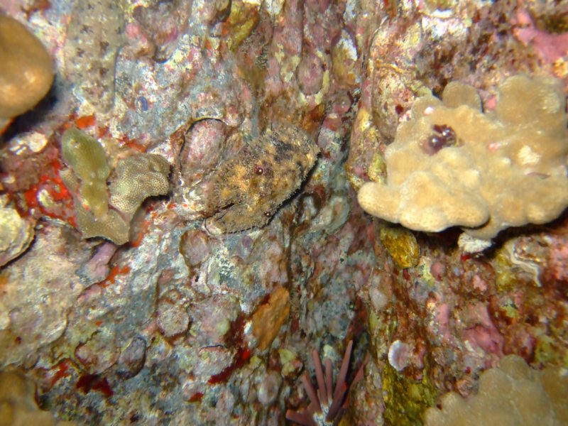 dscf6288.jpg