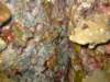 dscf6288_small.jpg