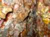 dscf6289_small.jpg