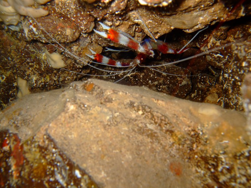 dscf6290.jpg