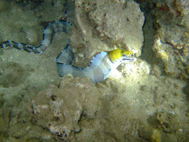 dscf6292.jpg
