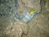 dscf6293_small.jpg