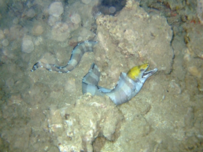 dscf6294.jpg