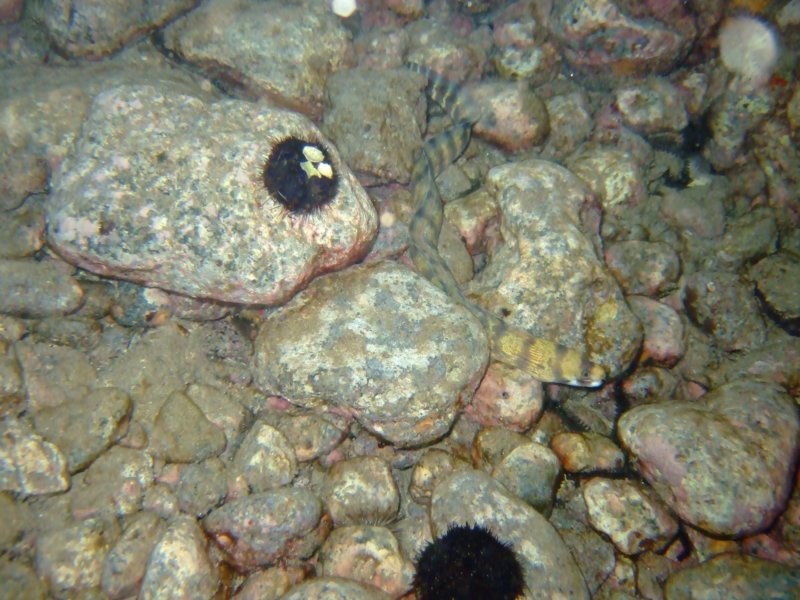 dscf6295.jpg