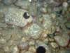 dscf6295_small.jpg