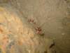 dscf6297_small.jpg
