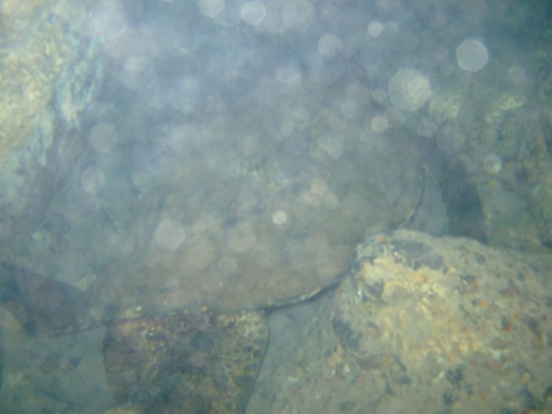 dscf6299.jpg