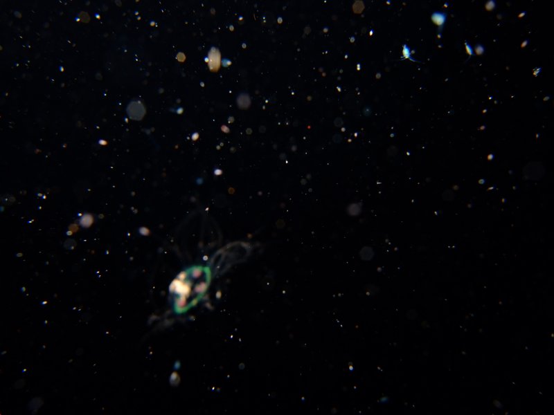 dscf6304.jpg