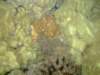 dscf6310_small.jpg
