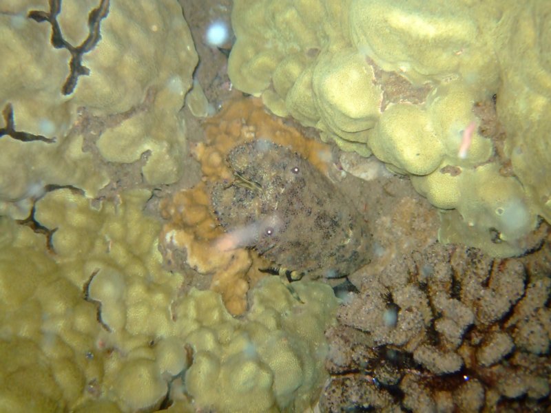 dscf6311.jpg