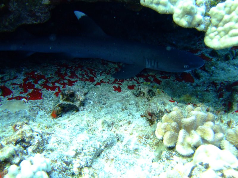 dscf5860.jpg