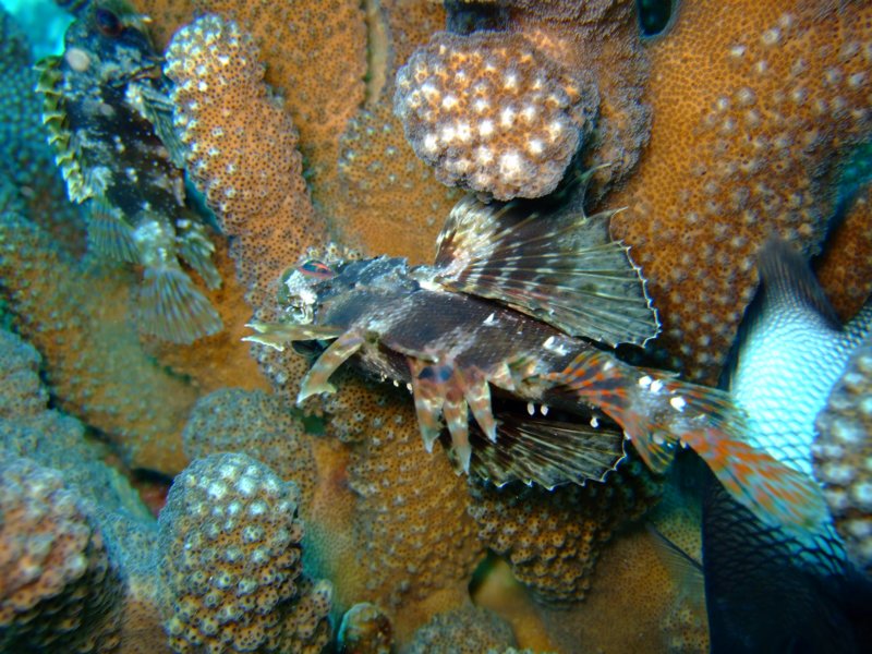 dscf5939.jpg