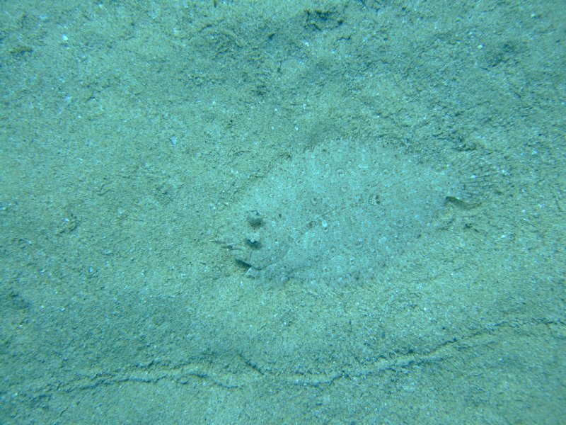 dscf5951.jpg
