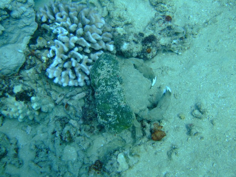 dscf5952.jpg