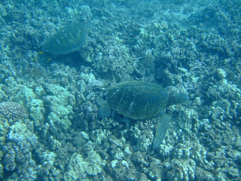 dscf5965.jpg