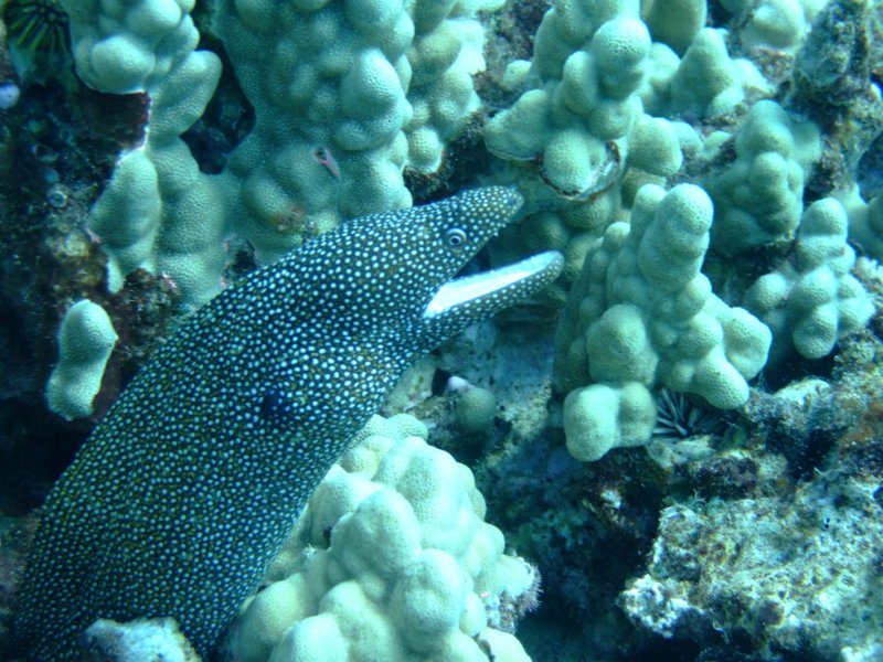 dscf5966.jpg