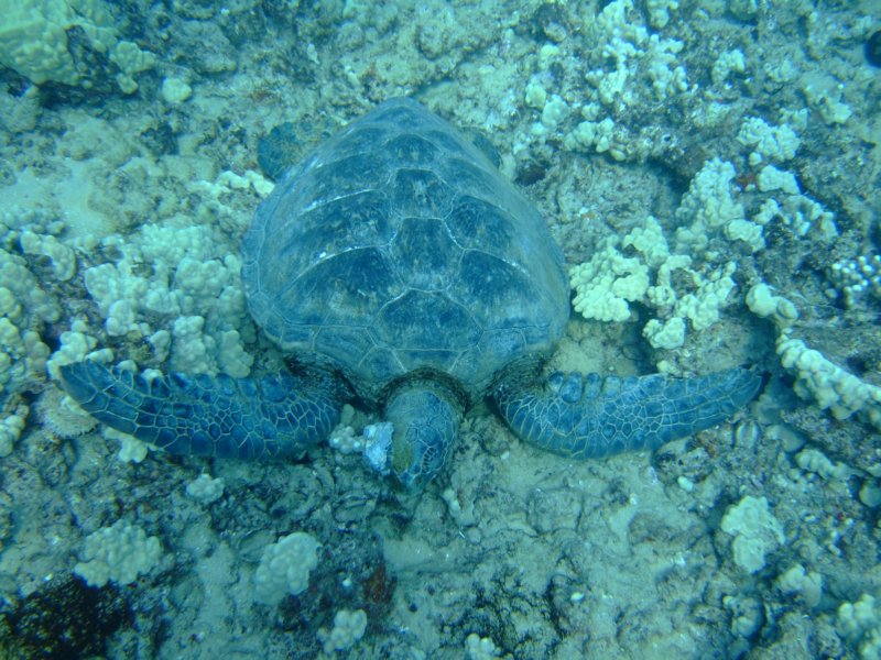 dscf5969.jpg