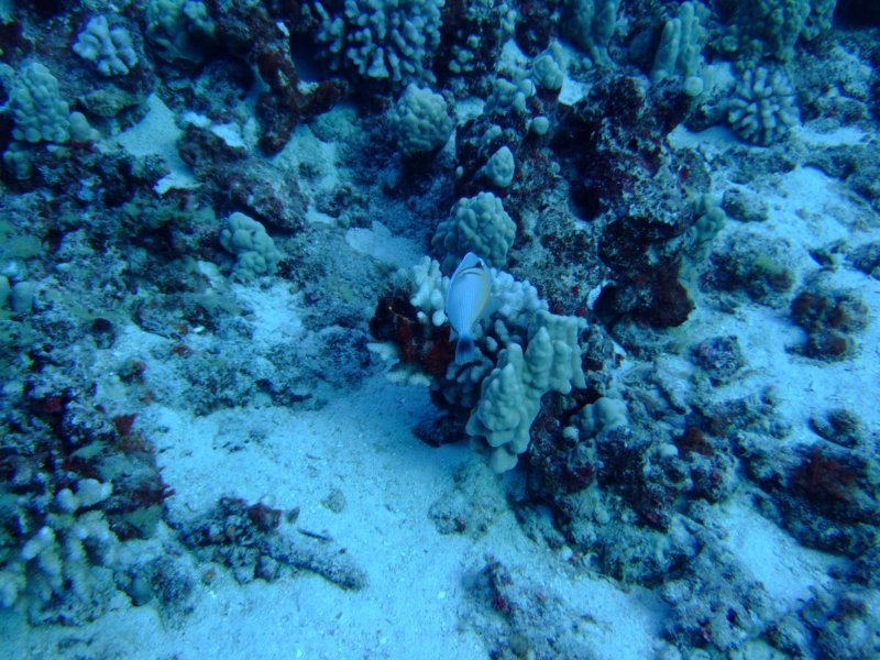 dscf5625.jpg