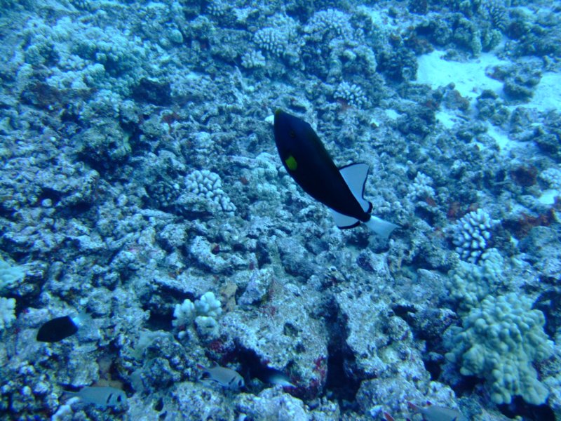 dscf5632.jpg