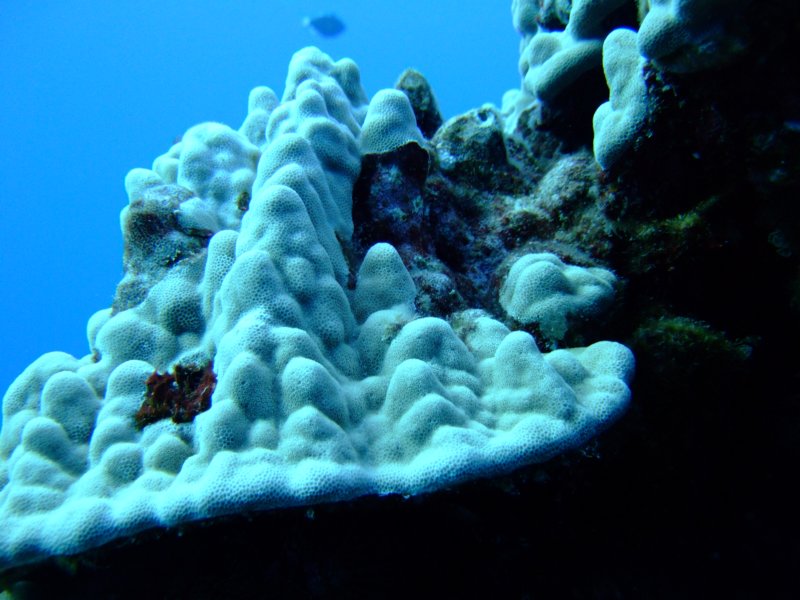 dscf5633.jpg