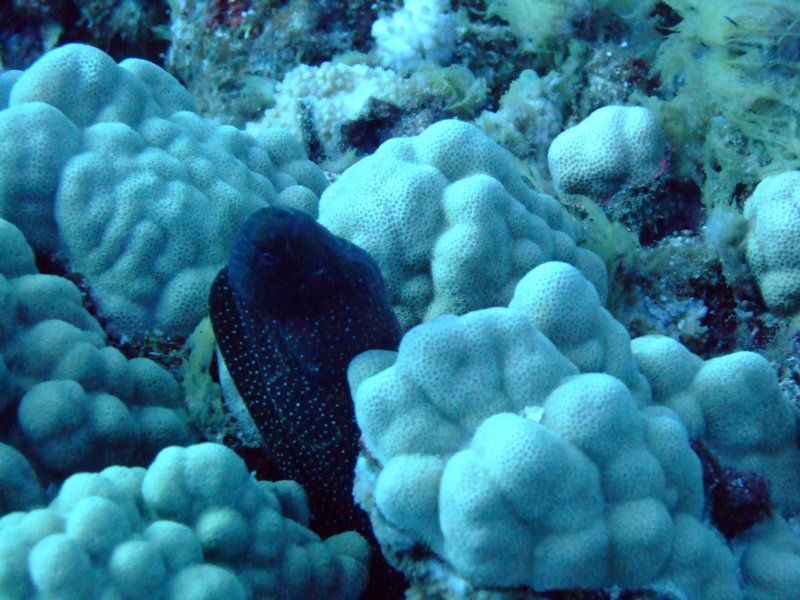 dscf5639.jpg