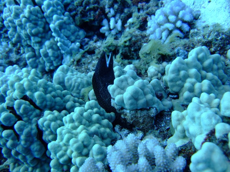 dscf5641.jpg