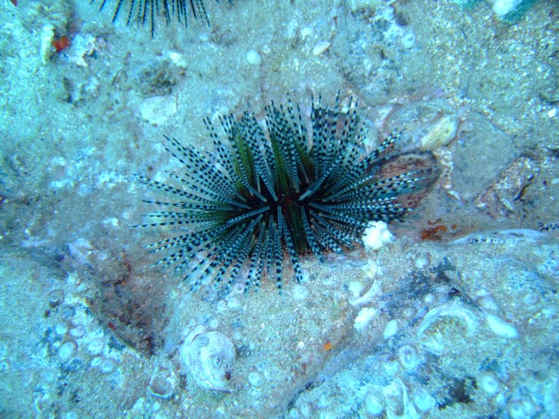 dscf5645.jpg