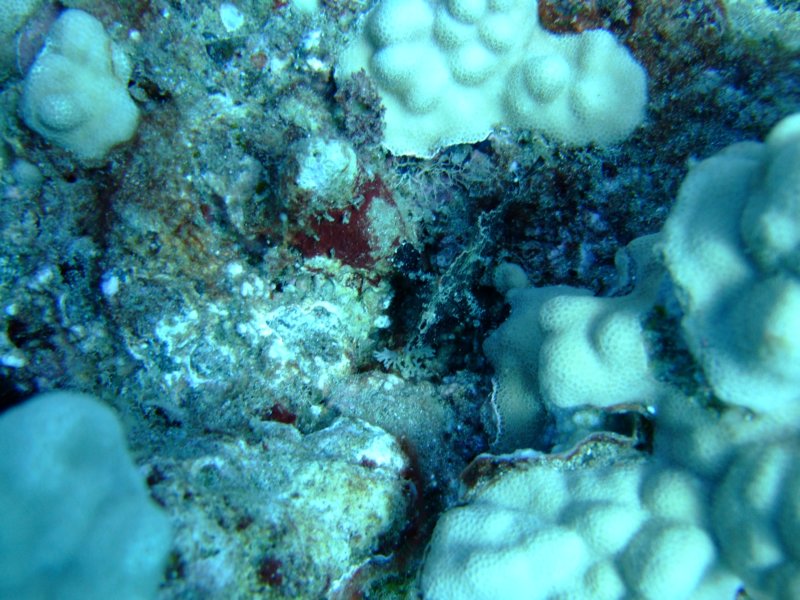 dscf5647.jpg