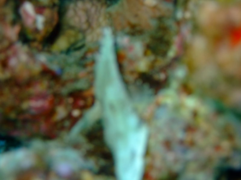 dscf5671.jpg
