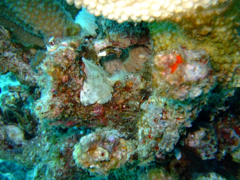 dscf5673.jpg