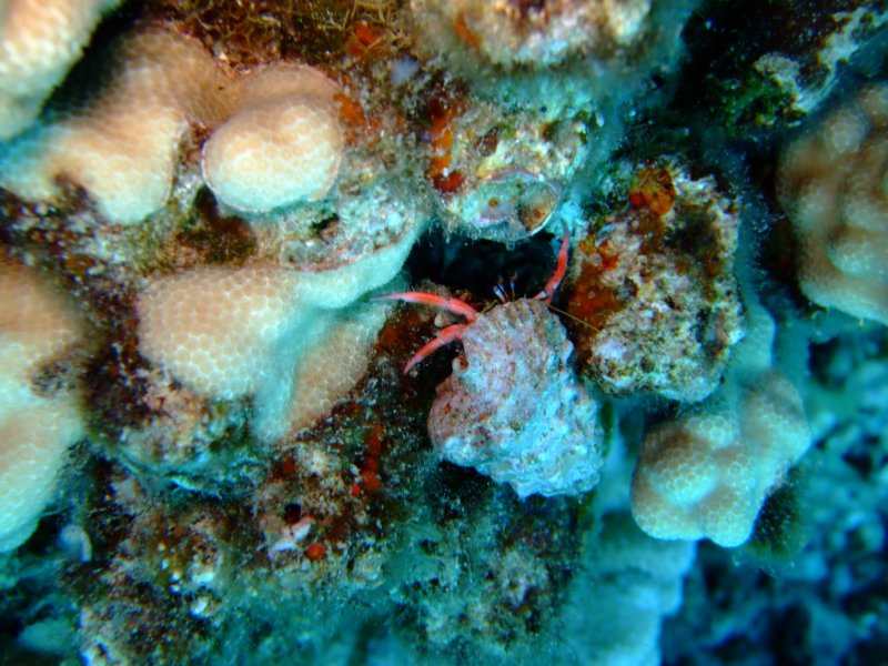 dscf5818.jpg