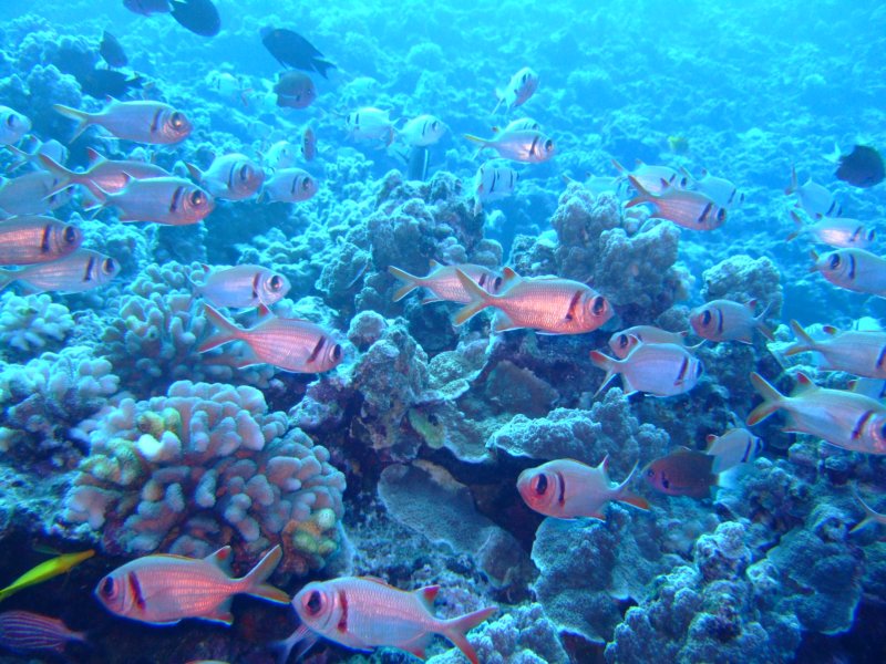 dscf5822.jpg
