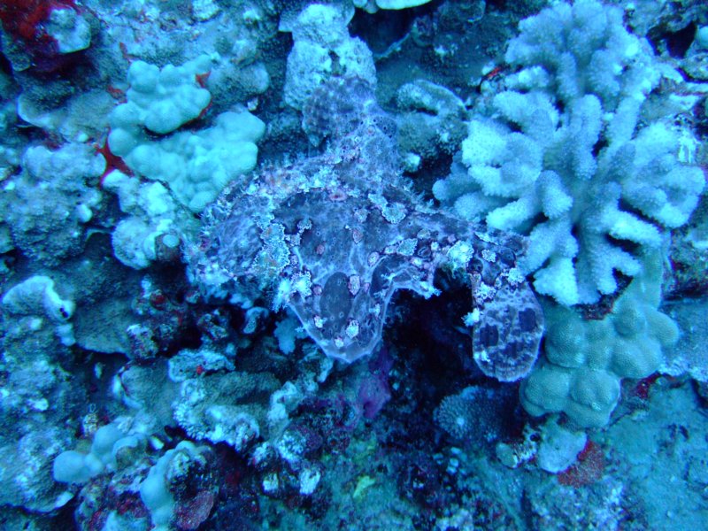 dscf5824.jpg