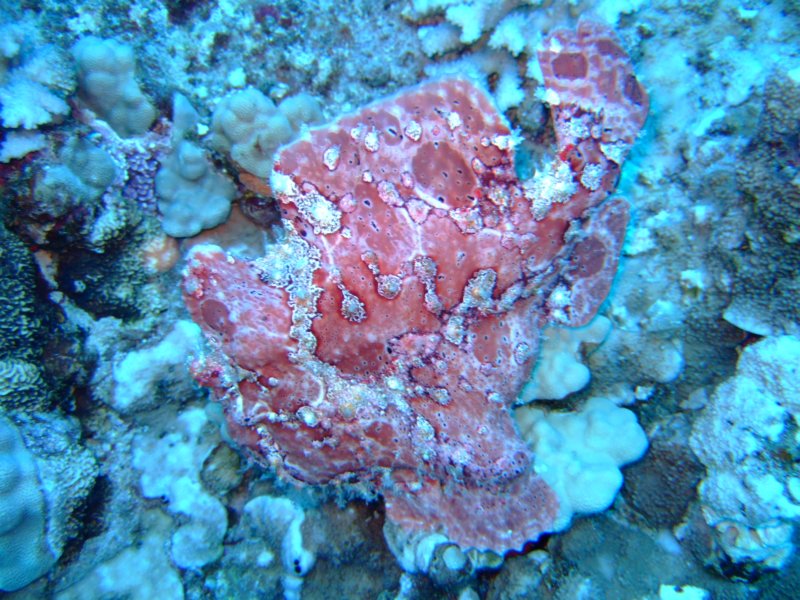 dscf5826.jpg