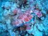 dscf5829_small.jpg