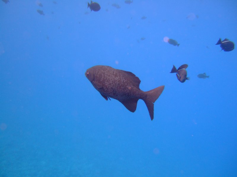dscf5832.jpg