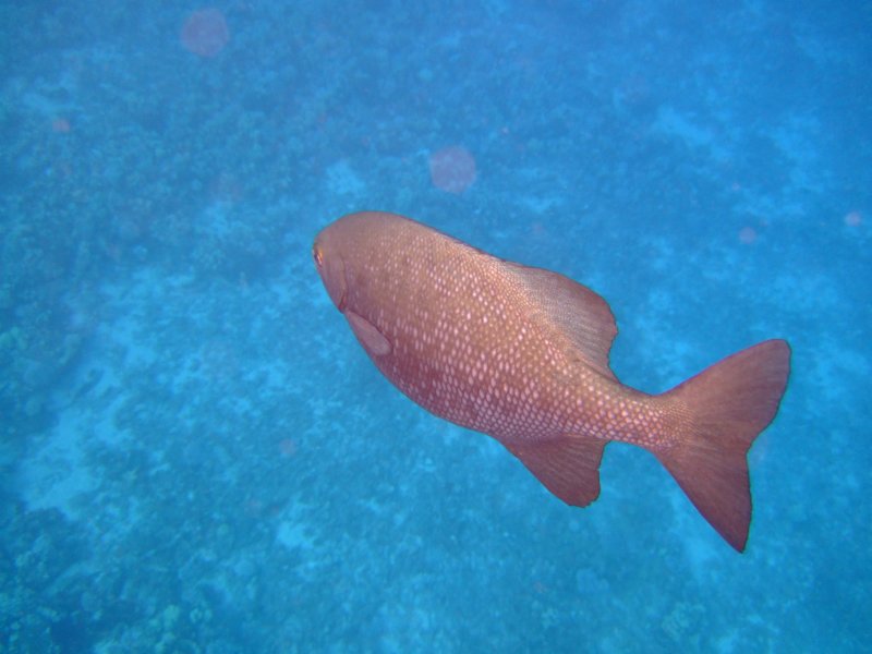 dscf5834.jpg