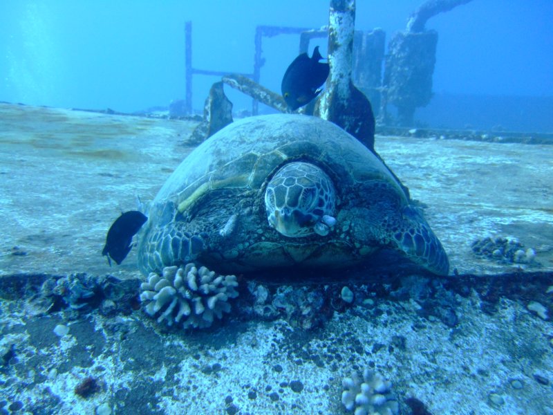 dscf5836.jpg