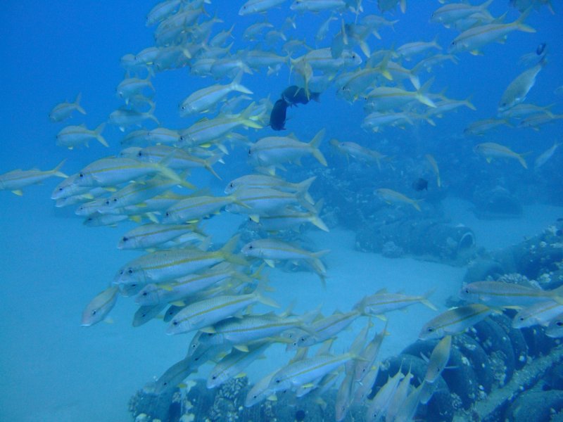 dscf5850.jpg