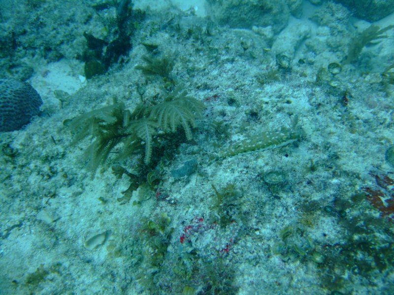 dscf8684.jpg
