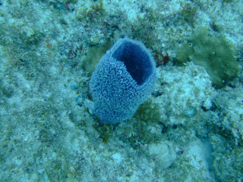 dscf8685.jpg
