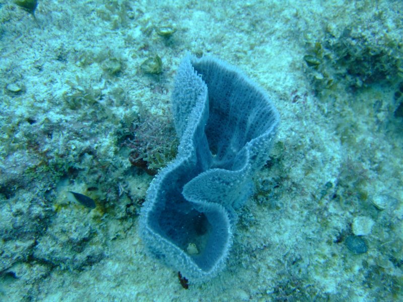 dscf8686.jpg