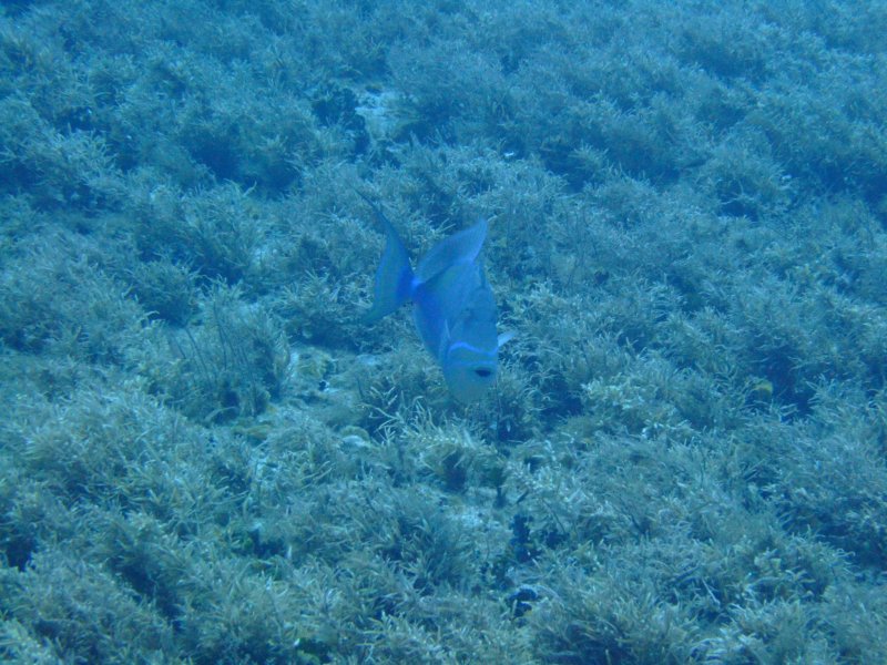 dscf7968.jpg