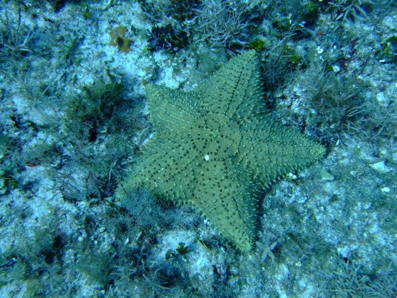 dscf7970.jpg