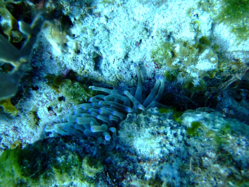dscf7975.jpg