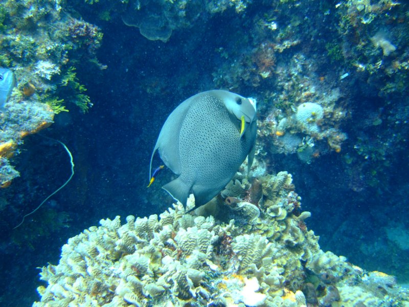 dscf7995.jpg