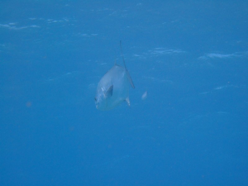 dscf8005.jpg