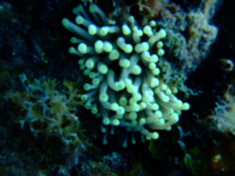 dscf8006.jpg